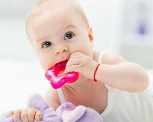 磨牙小伴侶 磨牙小伴侶